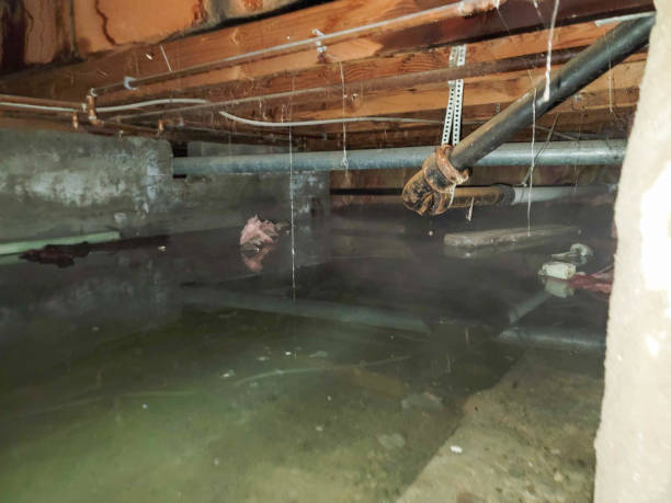 Best Water damage restoration cost  in Experiment, GA