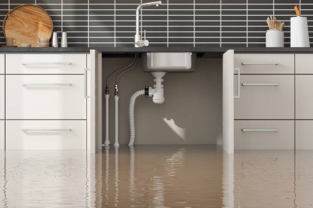 Best Water damage repair service  in Experiment, GA